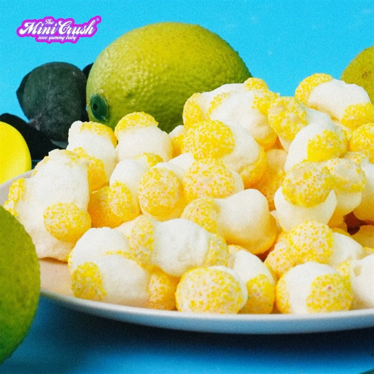 Freeze Dried Sour Lemon Crush factory